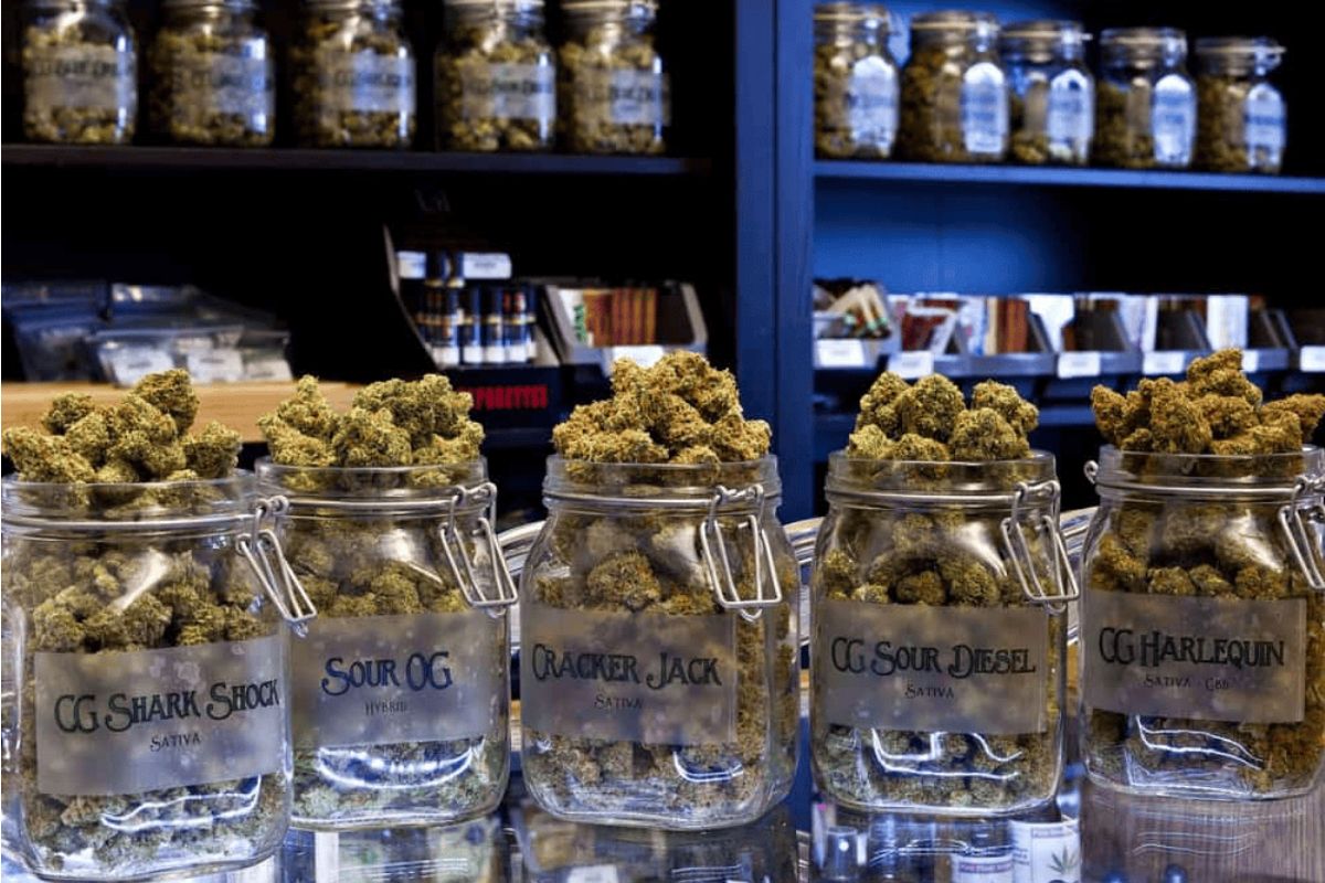 Online Weed Market Trends in Canada: 2023 Edition